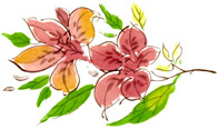 転写紙 四季花