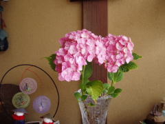 紫陽花の花