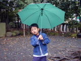 雨降りは傘をさして