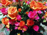 綺麗な薔薇の花・・・ありがとう。。