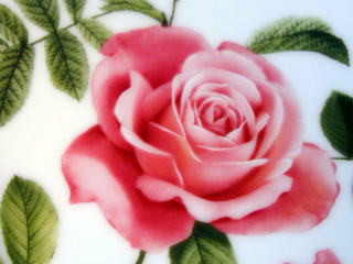 豪華で優雅な薔薇の花