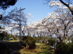 桜ヶ丘公園入り口