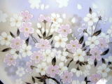 桜満開・・・・時期はずれ