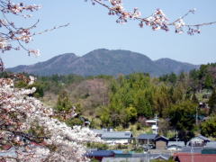 桜ヶ丘公園から望む田代山